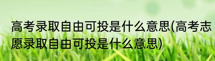 高考录取自由可投是什么意思(高考志愿录取自由可投是什么意思)