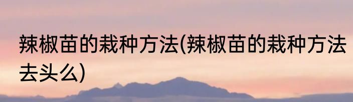 辣椒苗的栽种方法(辣椒苗的栽种方法去头么)