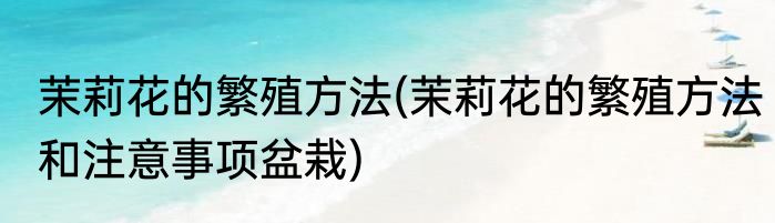 茉莉花的繁殖方法(茉莉花的繁殖方法和注意事项盆栽)