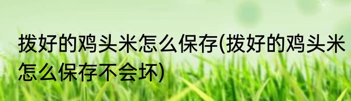 拨好的鸡头米怎么保存(拨好的鸡头米怎么保存不会坏)