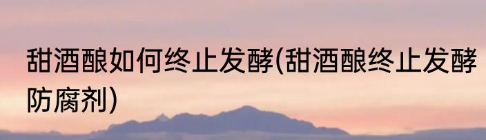 甜酒酿如何终止发酵(甜酒酿终止发酵防腐剂)