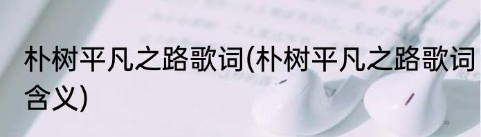 朴树平凡之路歌词(朴树平凡之路歌词含义)