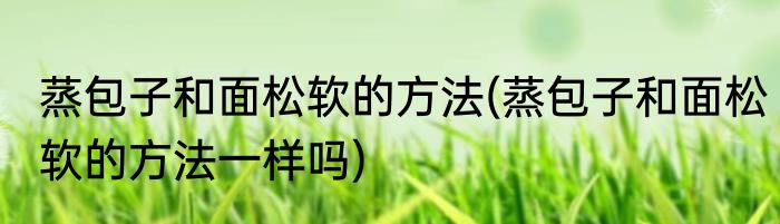 蒸包子和面松软的方法(蒸包子和面松软的方法一样吗)