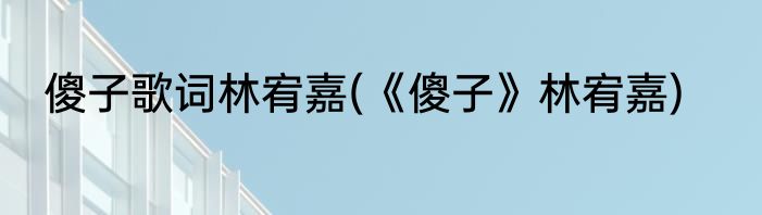 傻子歌词林宥嘉(《傻子》林宥嘉)