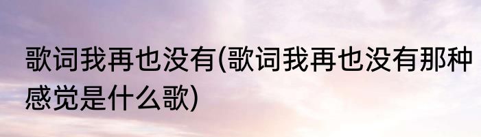 歌词我再也没有(歌词我再也没有那种感觉是什么歌)