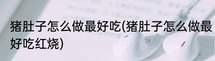 猪肚子怎么做最好吃(猪肚子怎么做最好吃红烧)