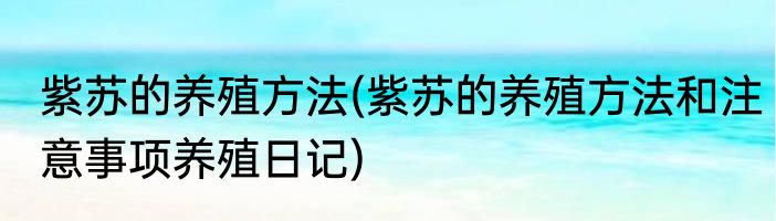 紫苏的养殖方法(紫苏的养殖方法和注意事项养殖日记)