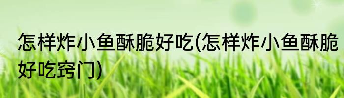 怎样炸小鱼酥脆好吃(怎样炸小鱼酥脆好吃窍门)