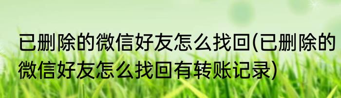 已删除的微信好友怎么找回(已删除的微信好友怎么找回有转账记录)