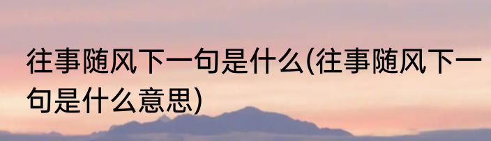 往事随风下一句是什么(往事随风下一句是什么意思)