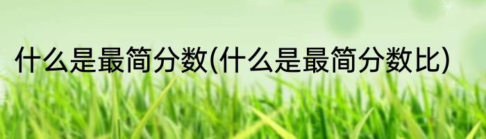 什么是最简分数(什么是最简分数比)