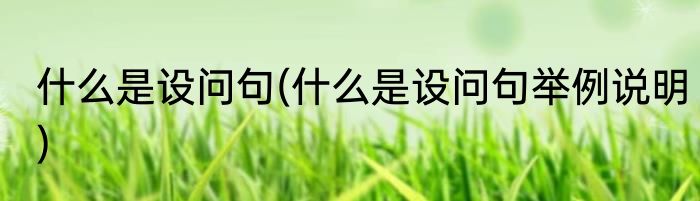 什么是设问句(什么是设问句举例说明)