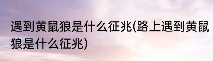 遇到黄鼠狼是什么征兆(路上遇到黄鼠狼是什么征兆)