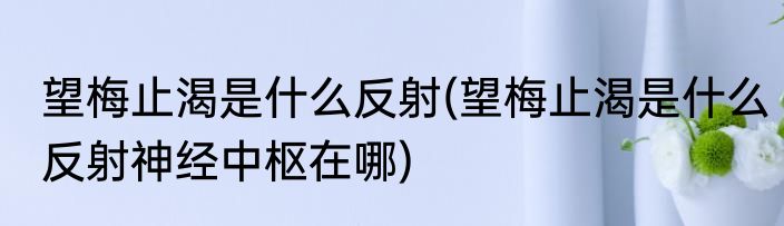 望梅止渴是什么反射(望梅止渴是什么反射神经中枢在哪)