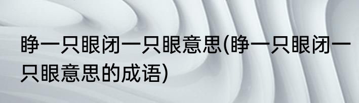 睁一只眼闭一只眼意思(睁一只眼闭一只眼意思的成语)