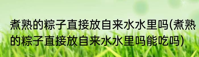 煮熟的粽子直接放自来水水里吗(煮熟的粽子直接放自来水水里吗能吃吗)