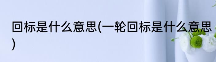 回标是什么意思(一轮回标是什么意思)