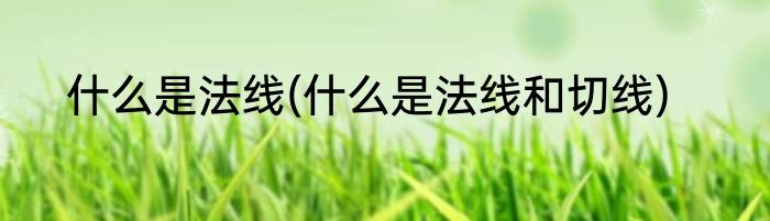 什么是法线(什么是法线和切线)