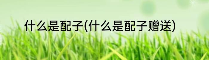 什么是配子(什么是配子赠送)