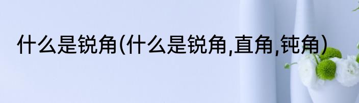什么是锐角(什么是锐角,直角,钝角)
