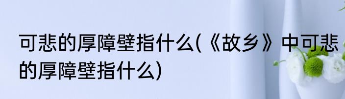 可悲的厚障壁指什么(《故乡》中可悲的厚障壁指什么)