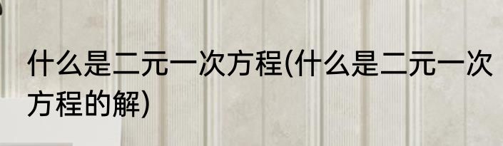 什么是二元一次方程(什么是二元一次方程的解)