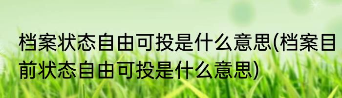 档案状态自由可投是什么意思(档案目前状态自由可投是什么意思)