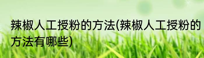 辣椒人工授粉的方法(辣椒人工授粉的方法有哪些)