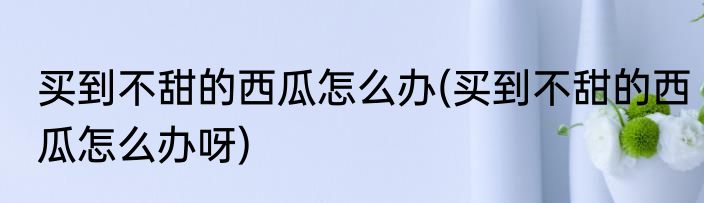 买到不甜的西瓜怎么办(买到不甜的西瓜怎么办呀)