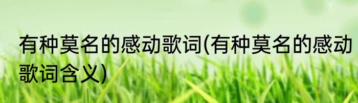 水头有什么好吃的(水头有什么好吃的美食海鲜)