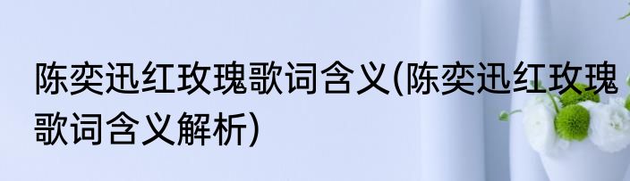 陈奕迅红玫瑰歌词含义(陈奕迅红玫瑰歌词含义解析)