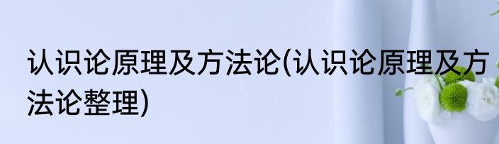 认识论原理及方法论(认识论原理及方法论整理)