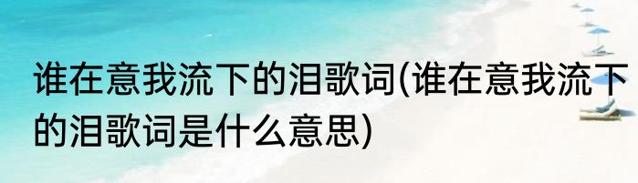 谁在意我流下的泪歌词(谁在意我流下的泪歌词是什么意思)
