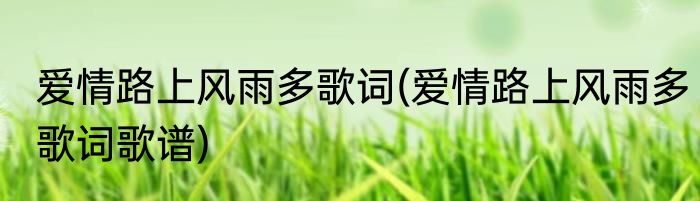 爱情路上风雨多歌词(爱情路上风雨多歌词歌谱)