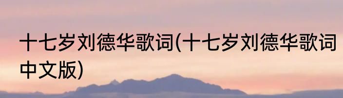 十七岁刘德华歌词(十七岁刘德华歌词中文版)