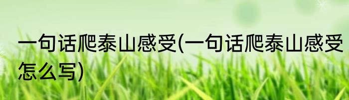一句话爬泰山感受(一句话爬泰山感受怎么写)
