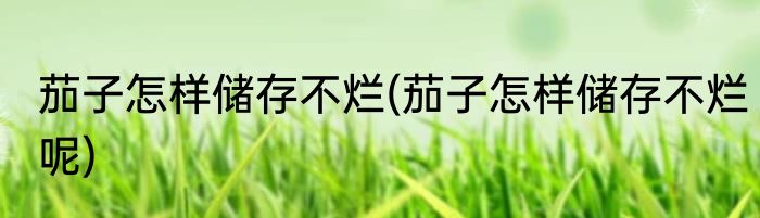 茄子怎样储存不烂(茄子怎样储存不烂呢)