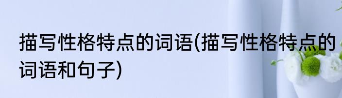 描写性格特点的词语(描写性格特点的词语和句子)