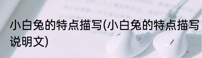 小白兔的特点描写(小白兔的特点描写说明文)