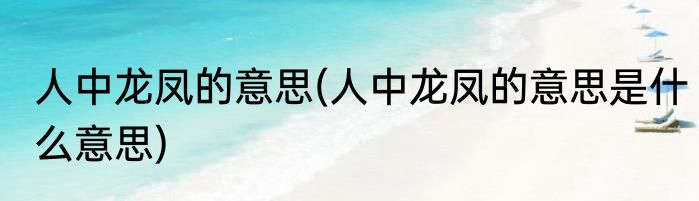 人中龙凤的意思(人中龙凤的意思是什么意思)