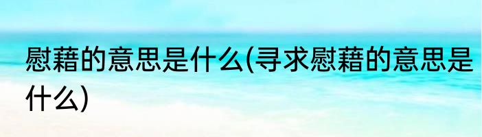 慰藉的意思是什么(寻求慰藉的意思是什么)