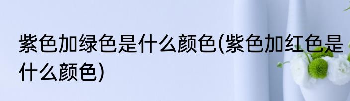紫色加绿色是什么颜色(紫色加红色是什么颜色)