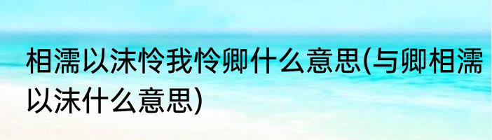相濡以沫怜我怜卿什么意思(与卿相濡以沫什么意思)