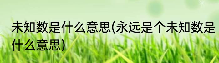未知数是什么意思(永远是个未知数是什么意思)