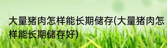 大量猪肉怎样能长期储存(大量猪肉怎样能长期储存好)