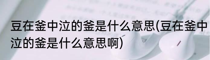 豆在釜中泣的釜是什么意思(豆在釜中泣的釜是什么意思啊)