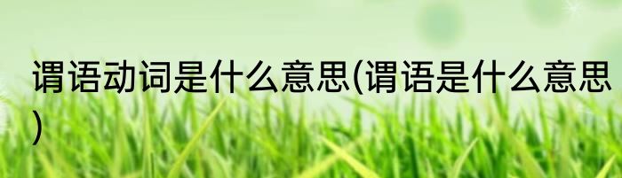 谓语动词是什么意思(谓语是什么意思)