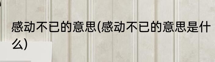 感动不已的意思(感动不已的意思是什么)