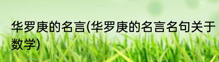 华罗庚的名言(华罗庚的名言名句关于数学)