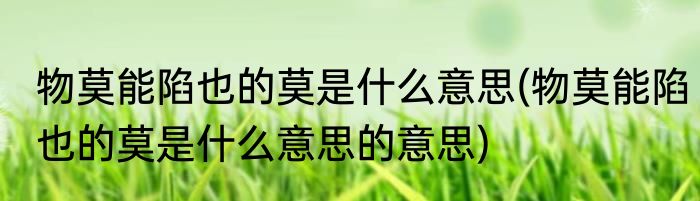 物莫能陷也的莫是什么意思(物莫能陷也的莫是什么意思的意思)